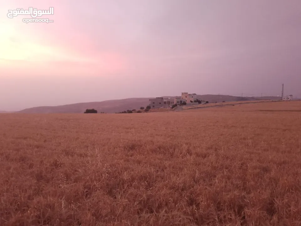 مادبا ماعين المشرفة قطعة ارض زراعية مميزة واصل الخدمات ذات اطلالة على البحر الميت واصل الخدمات