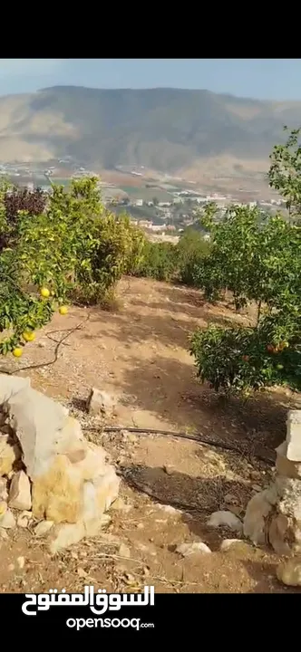 أرض زراعية او سكنية للبيع 2 دونم و 580 متر