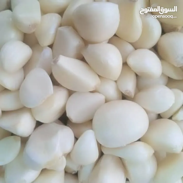 ثوم مقشر نخب اول بلدي