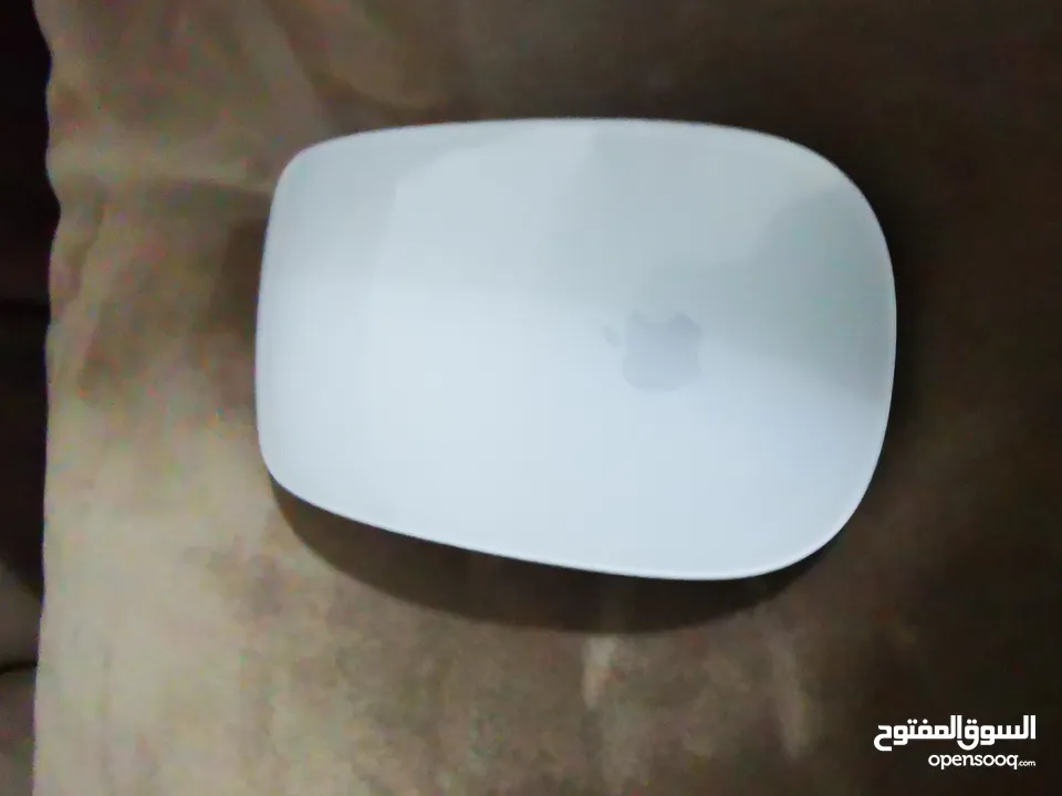 Apple Mouse and keyboard