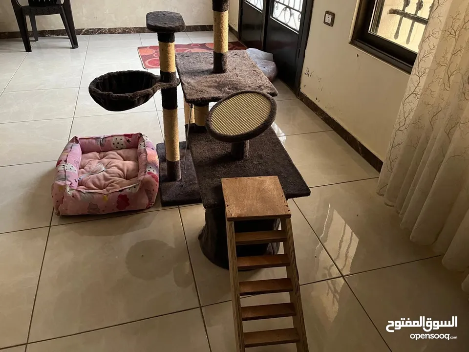 بيت ومنزل وشجرة قطط مع مشط ولعبه