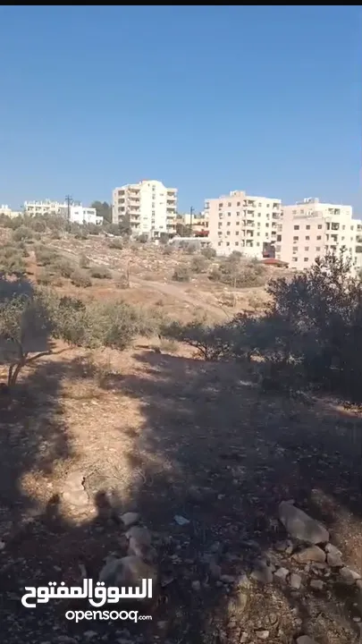 أرض سكني للبيع في سما الروسان