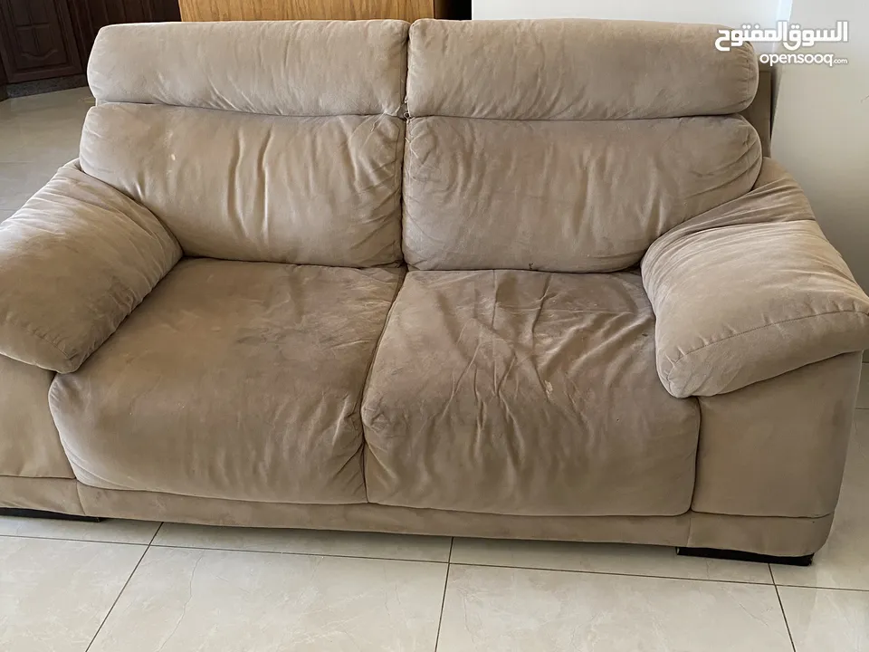 كنب دب امريكي للبيع