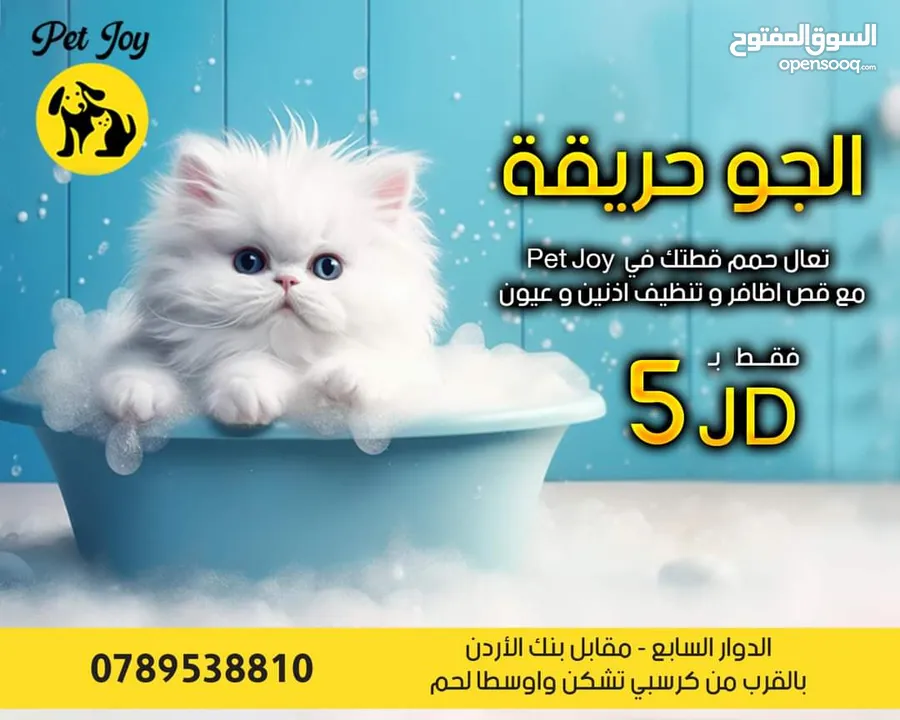 حمام قطط و كلاب خدمة احترافية حمامممم العيددد