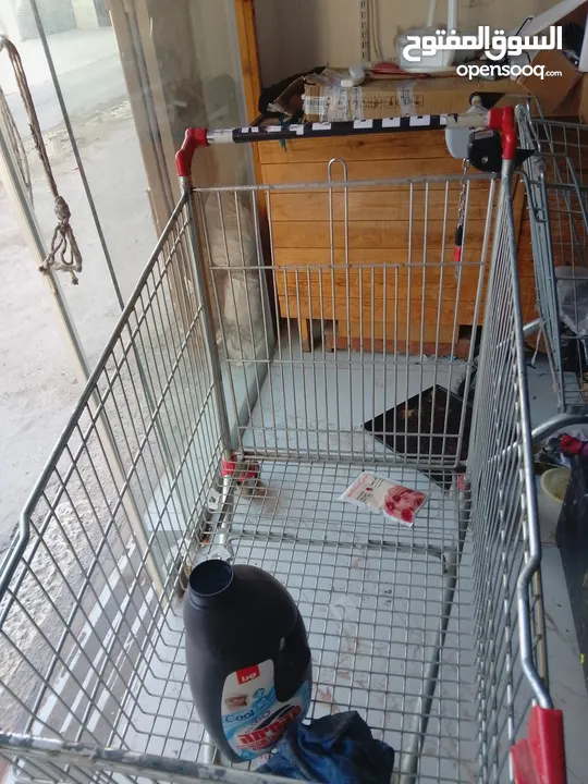 اسلام مضيه حلحول