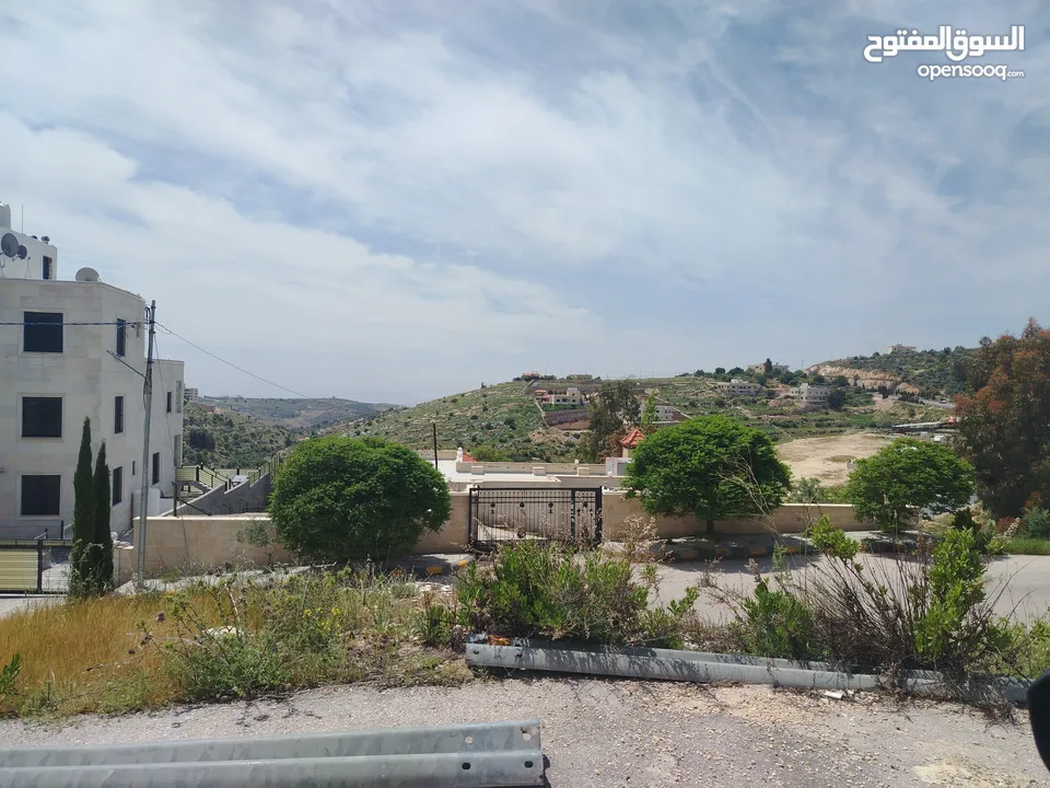 دنم و 44 م مقابل مضافة الدرادكة دنم ب القمة عالي