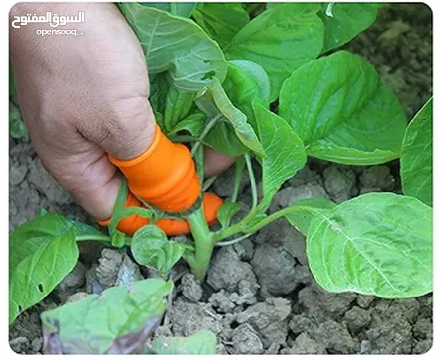 أداة التقليم الذكية على شكل إصبع