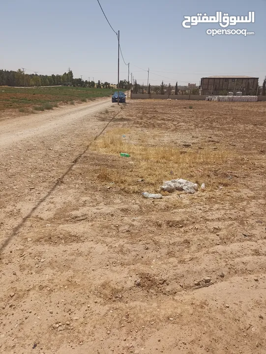 ارض للبيع في المفرق