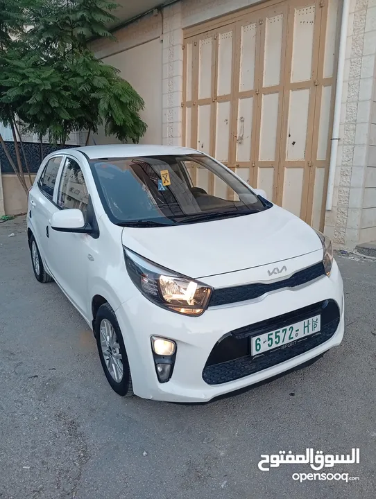 بيكانتو 2022 سعر حرق على الكاش إمكانية البيع نص كاش ونص شكات مع فرق في السعر