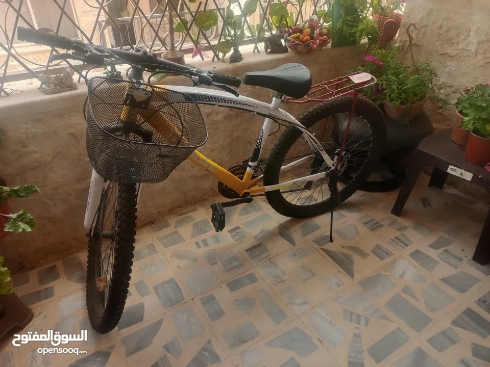 دراجه هوائيه نوع ترايوبلاد  .. مميزه كبيره تناسب الاعمار والاحجام الكبيره والاشخاص  طوال القامه .  د