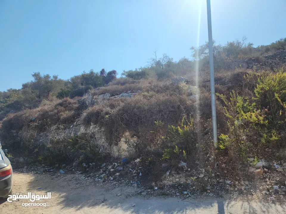 حصة في منطقة المشتل