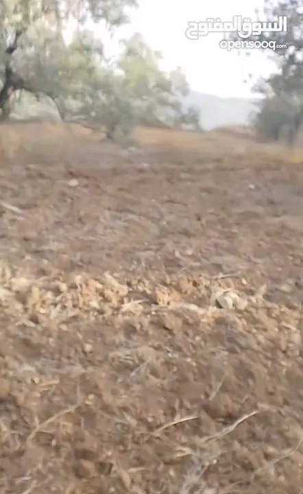 قطعة لرض للبيع