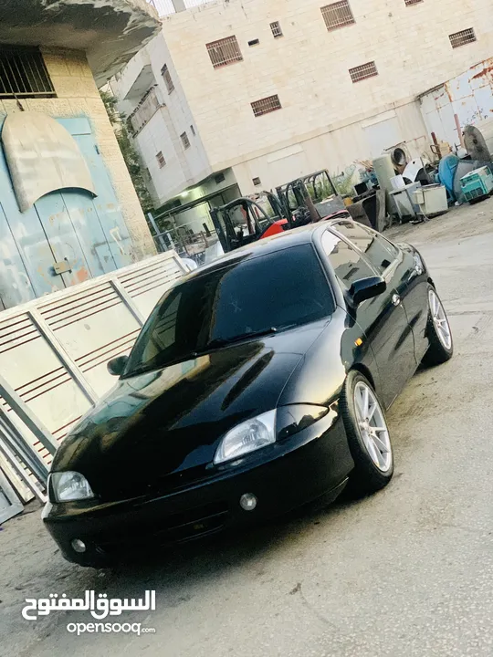 شفرليت كفلير