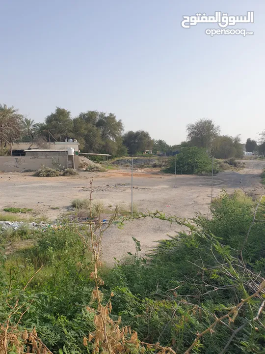 مزرعة للبيع بموقع مميز قريب للخدمات والسعر مناسب