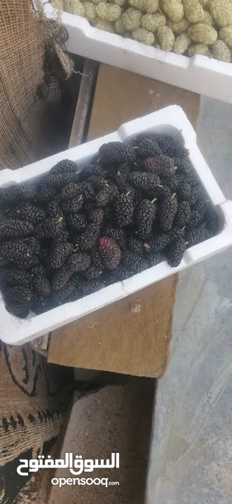 يوجد توت ابيض اسود