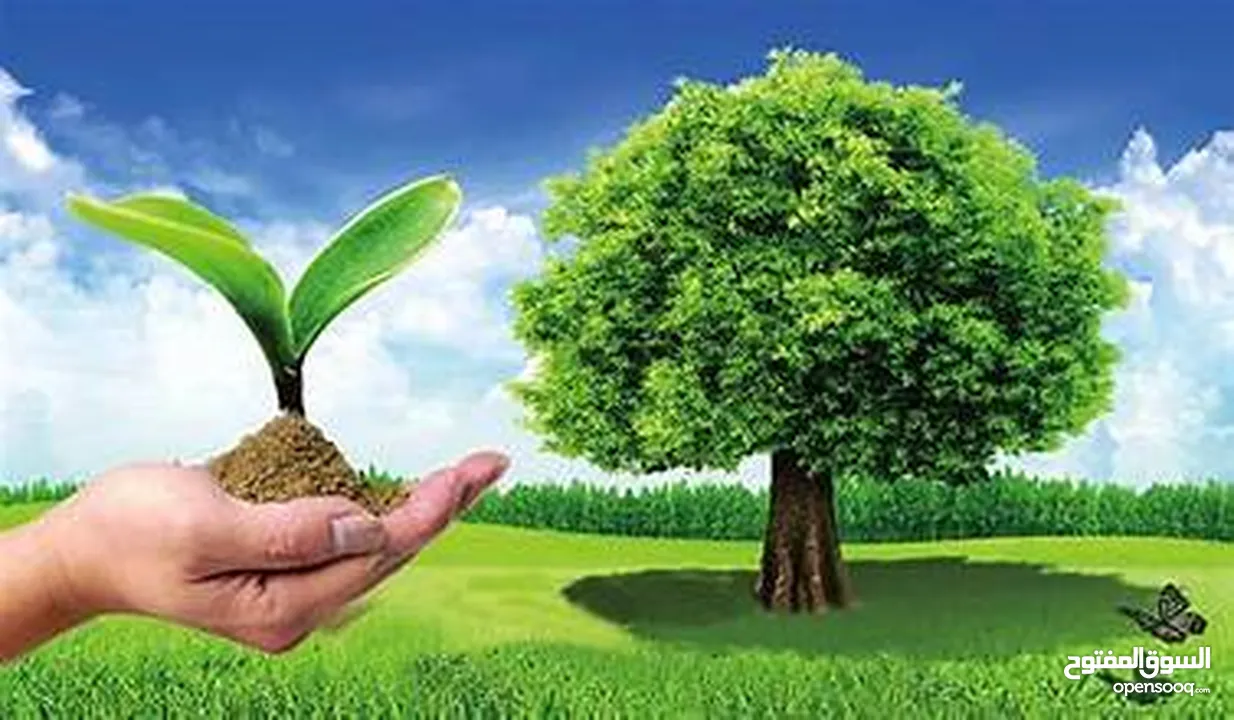 رخصة البيئة - استخراج التصاريح البيئية والسجلات البيئية جميع مدن المملكة