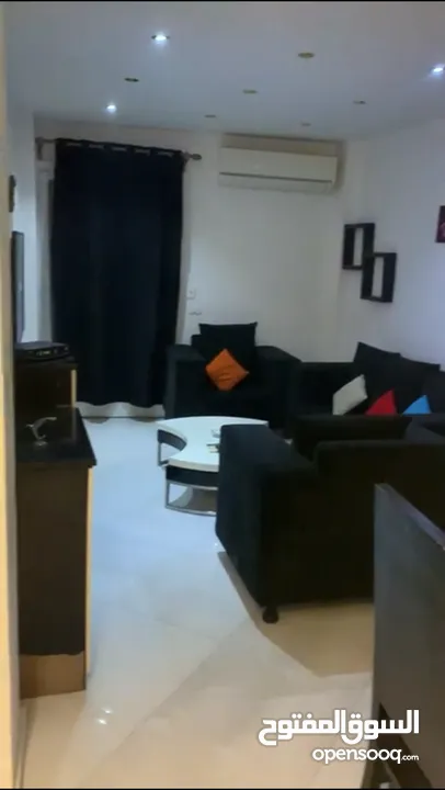 شقه مفروشه للايجار بالزمالك (السعر المكتوب بالدولار) - Furnished apartment for rent in Zamalek