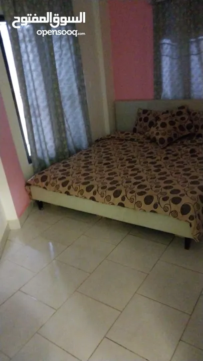 مزرعة للايجار اليومي  في الغور منطقه الجوفه بأسعار مناسبة وبدأت حجوزات عيد الاضحى المبارك