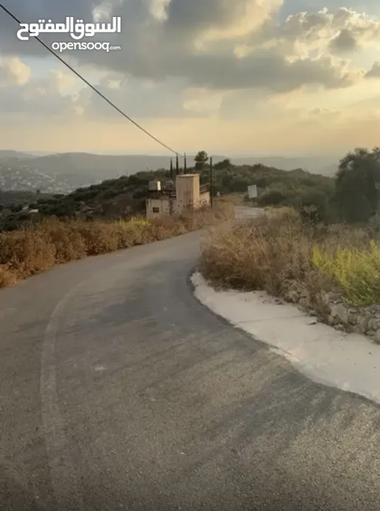 بسبب ظروف السفر وترك المنطقة، بدي أبيع الأرض.