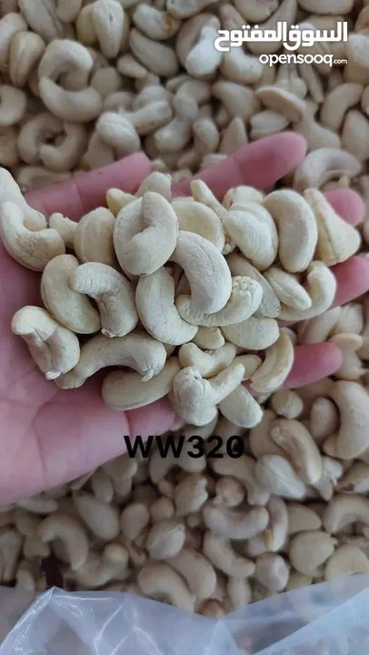 Wholesale of premium cashew nuts