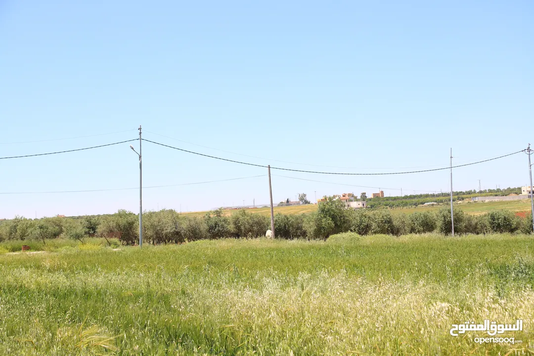 مادبا الفيحاء قطعتين متجاورتين  بجانب التنظيم غرب النديم والحراويه بمنطقة فلل ومزارع خاصة