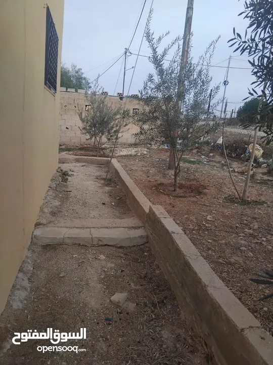 بيت للبيع في قريه دليله المطيرات شرق مادبا