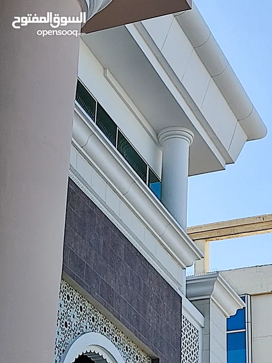 طارد الحمام والطيور