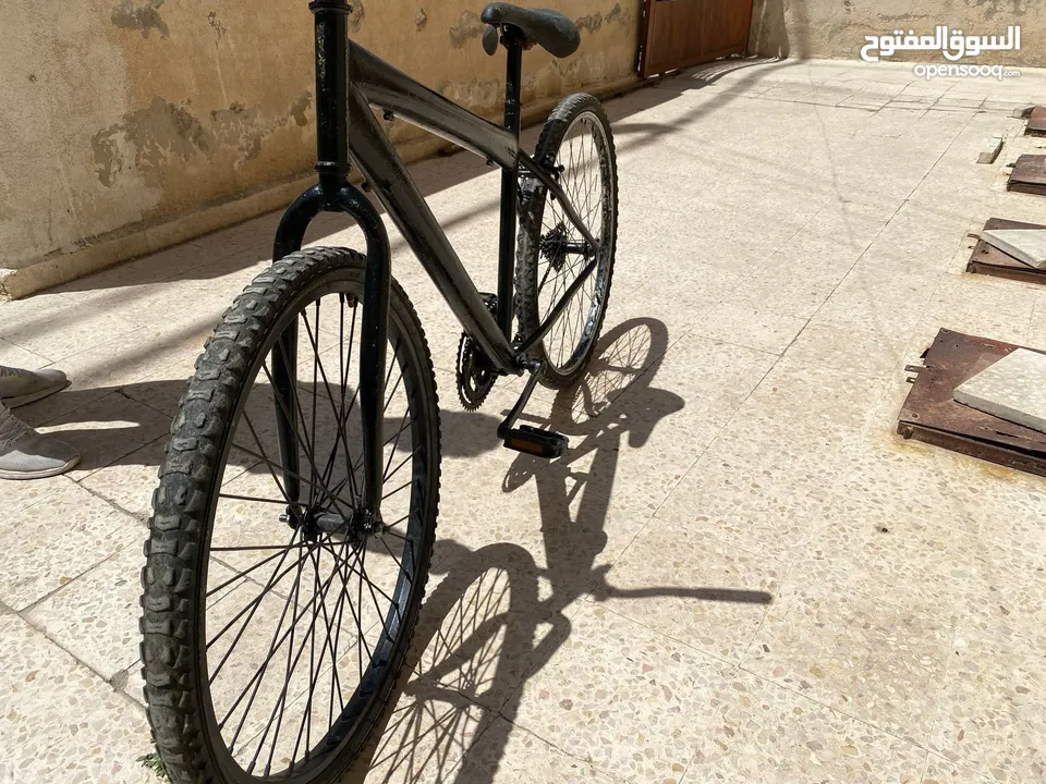 بسكليت امريكي