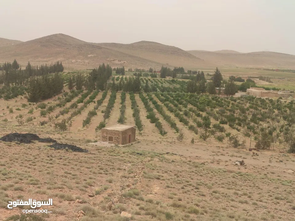 134-Hectare Farm for Sale in Morocco - مزرعة محفظة للبيع بمساحة 134 هكتار في منطقة ورزازات، المغرب