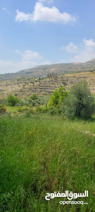 أرض للبيع من المالك مباشرة
