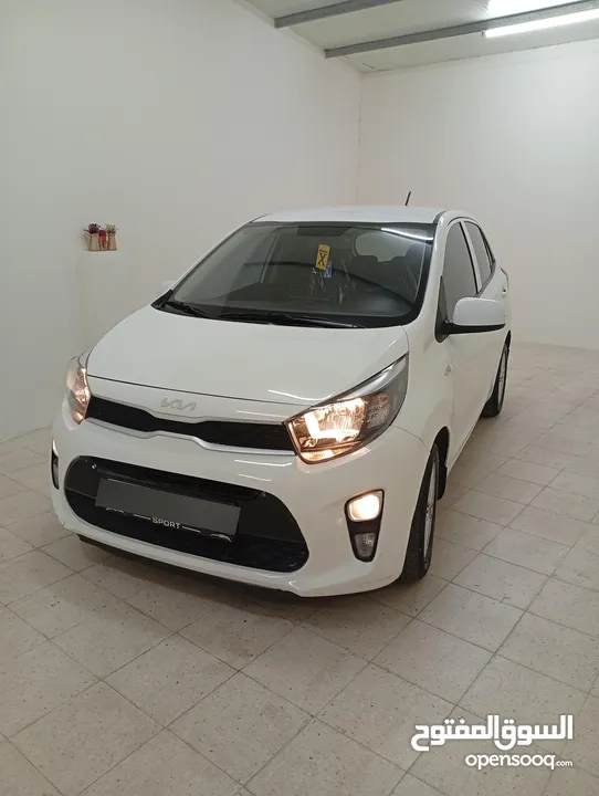 كيا بيكانتو متور 1250بسعر حرق على الكاش 49