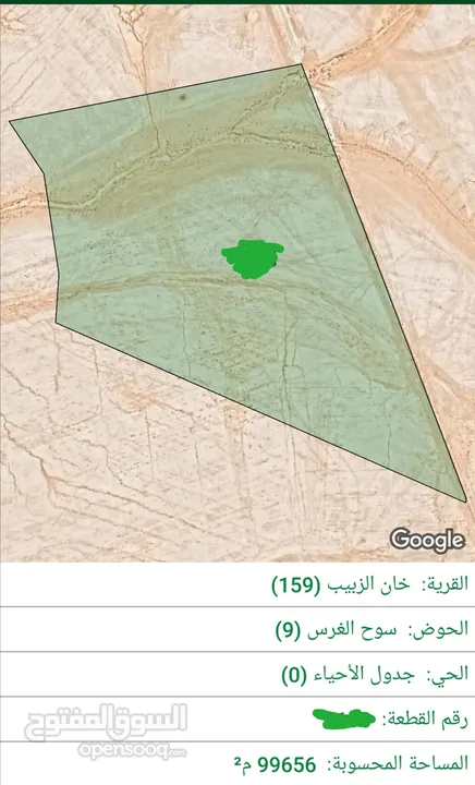 للبيع قطعة أرض 100 دونم في خان الزبيب