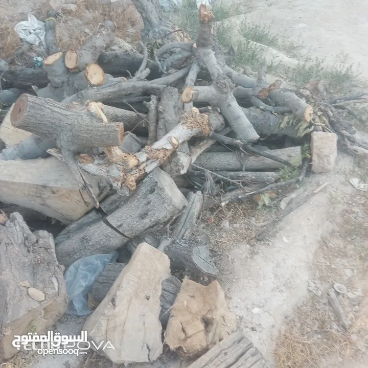 خشب وحطب زيتون  للبيع تقريبا 3طن للبيع