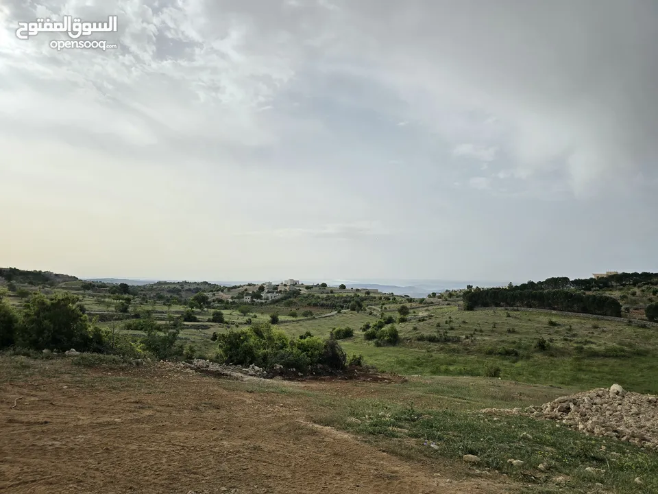 غرب سوف سهلات الغربيه قرب قصر السفير الاماراتي منطقه فلل و مزارع راقيه