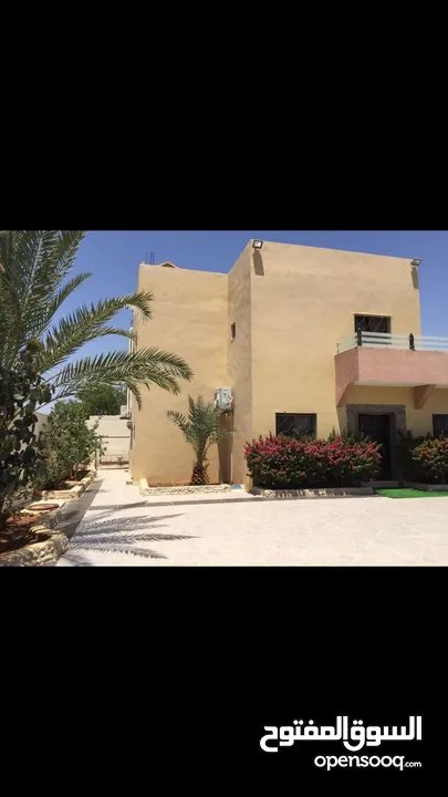 شليه للبيع طريق الجسر بسعر مميز لفتره محدوده