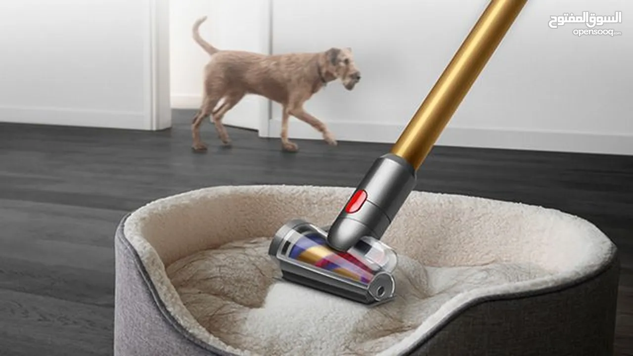 Dyson V15 Detect Absolute (Gold) Cordless Vacuum