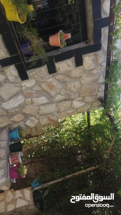 بيت للبيع  بسعر مغري