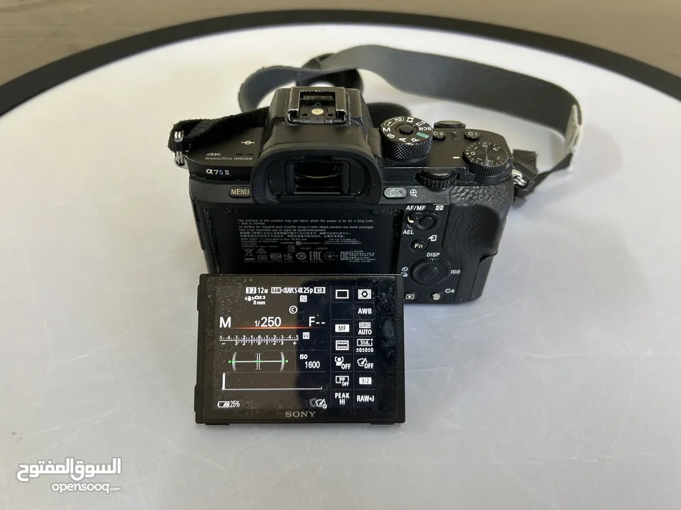 Sony A7sii