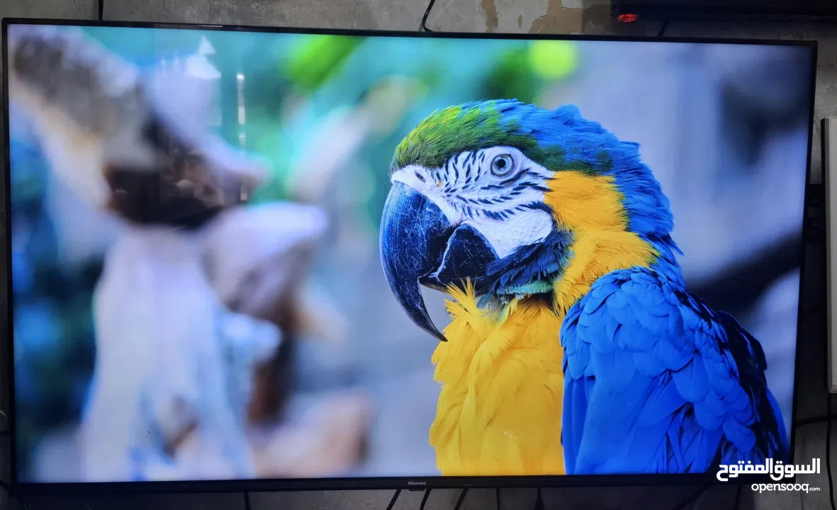 شاشات بتغيّر جو البيت كلو  أحجام بتناسب كل بيت وكل مساحة  جميع التحجام والانواع