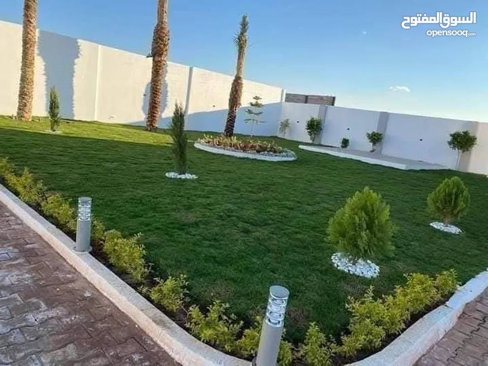 نجيل طبيعي ونجيل ديكوندرا
