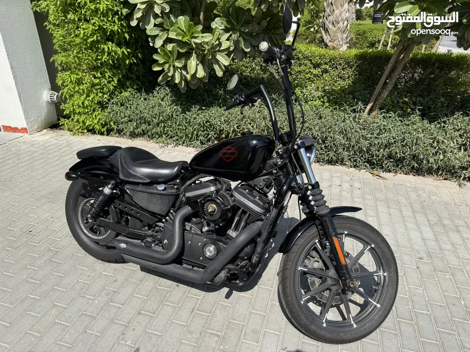 Harley Davidson Sportster XL 883n