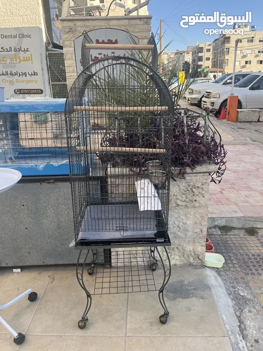 عرض على أقفاص العجال ستاند متحرك العرض لمدة أسبوع