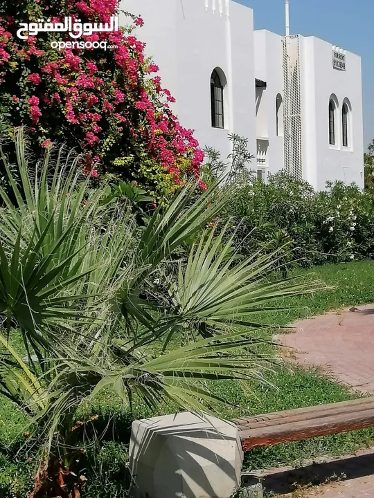 6 Bedroom Villa for Rent in Qurum