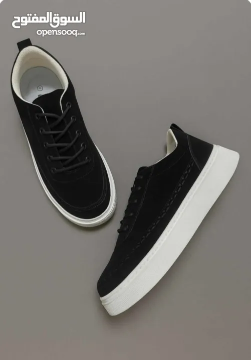 البيع بالجملة فقط