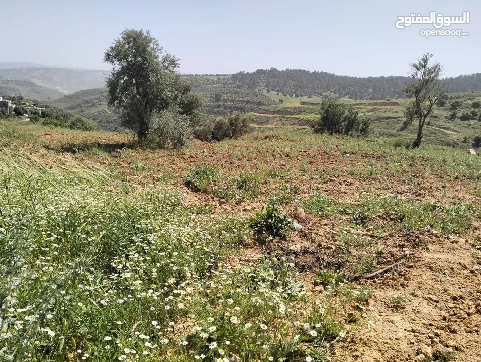 أرض مميزة جداً لعمل شاليه استثماري أو مزرعة خاصة أو مزرعة تجارية يوجد بها قناة ماء من المالك مباشرة