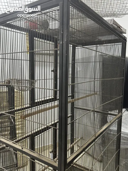 2 big iron bird cages