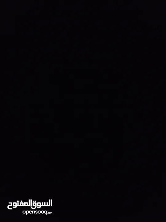 مطلوب كلب مالتيز للتبني