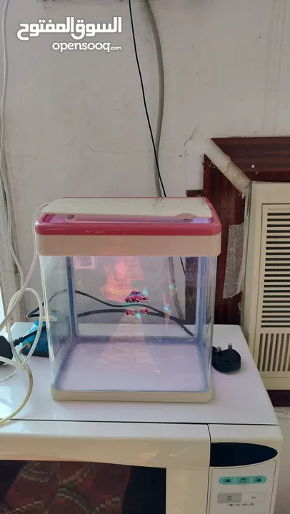 small fish tank for sale