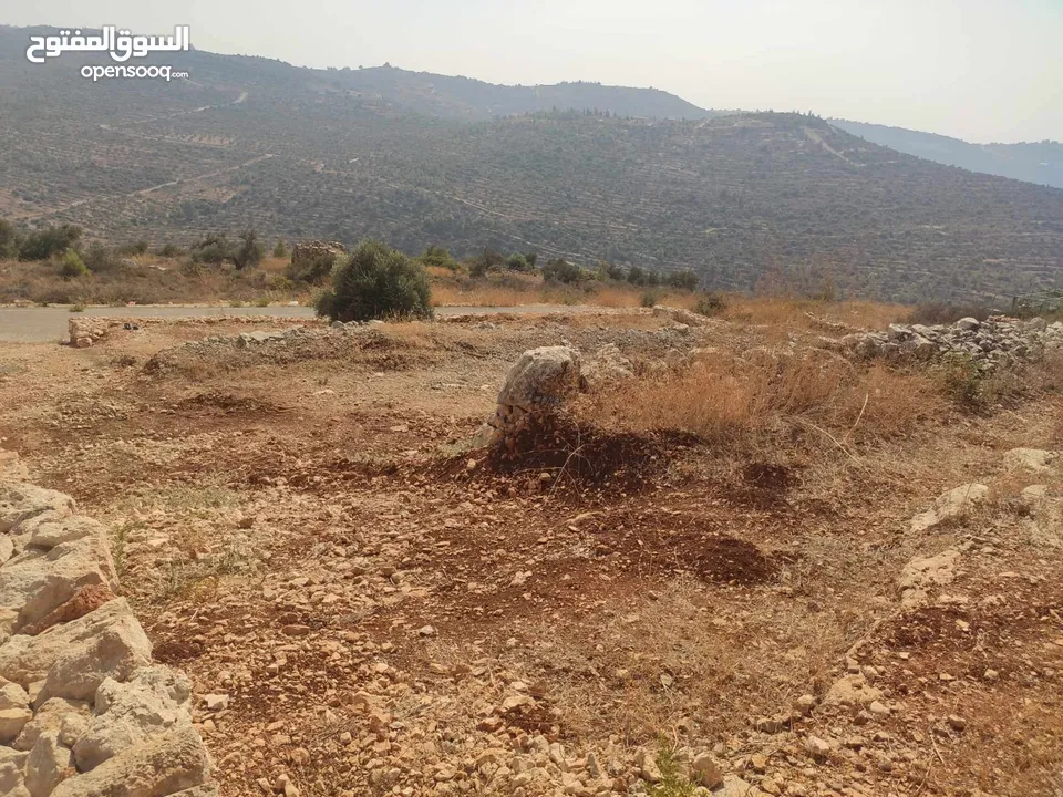 قطعة أرض مميزة في مزارع النوباني