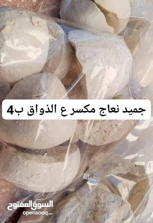 جميد نعاج بلدي كسر بسيط